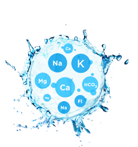 Giàu vi khoáng  cần thiết cho cơ thể