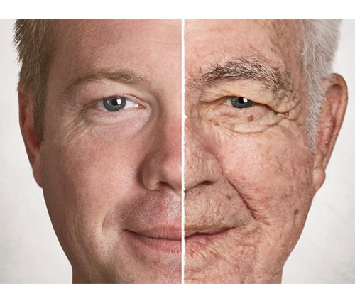 Các gốc tự do được các nhà khoa học xác định là nguyên nhân chủ yếu gấy ra hiện tượng lão hóa.