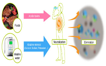 Chất lượng nước ion kiềm có giảm theo thời gian?