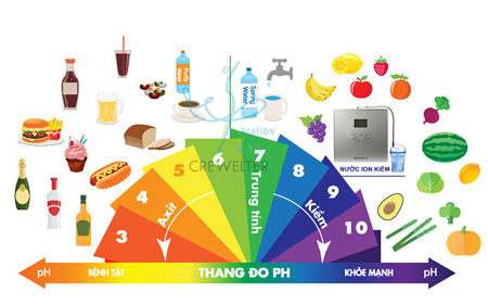 Bản Tin sức khỏe - Đời sống
