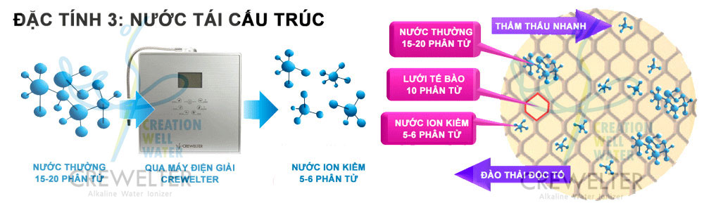 Cấu trúc phân tử nhỏ giúp thẩm thấu cực nhanh, thúc đẩy trao đổi chất và thanh lọc cơ thể.