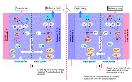 Quy trình tạo ra nước Ion Kiềm giàu Hydro Crewelter