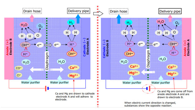 Dòng điện đảo chiều giúp đánh bật các ion canxi và magie bám trên bề mặt